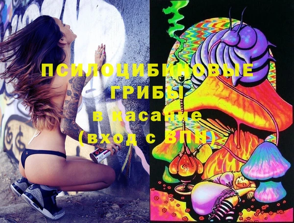 гашиш Новодвинск