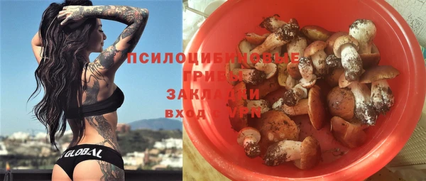 мяу мяу мука Алзамай