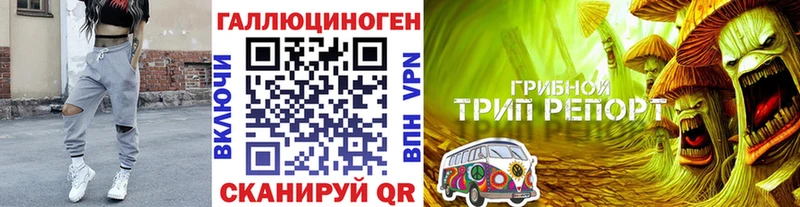 Галлюциногенные грибы Magic Shrooms  Сорочинск 
